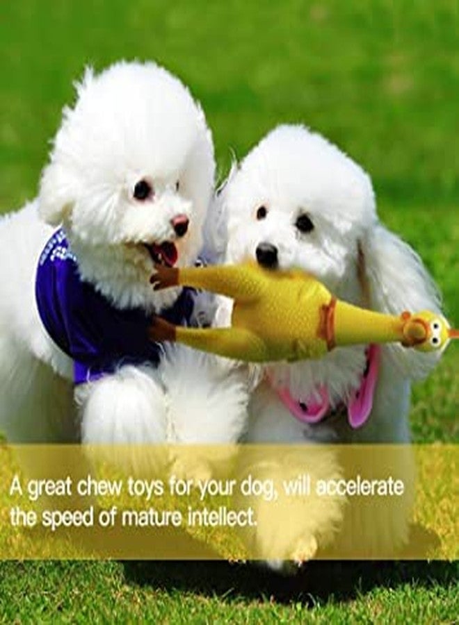 KsPups Safe & Non-Toxic Squawking Chicken Rubber I Squeeze Dog Toys with Sound I BPA Free I Chemical Free I Squeaky and Screaming I Chicken Toy for Pets or Kids (Pack of-1) - Image 5